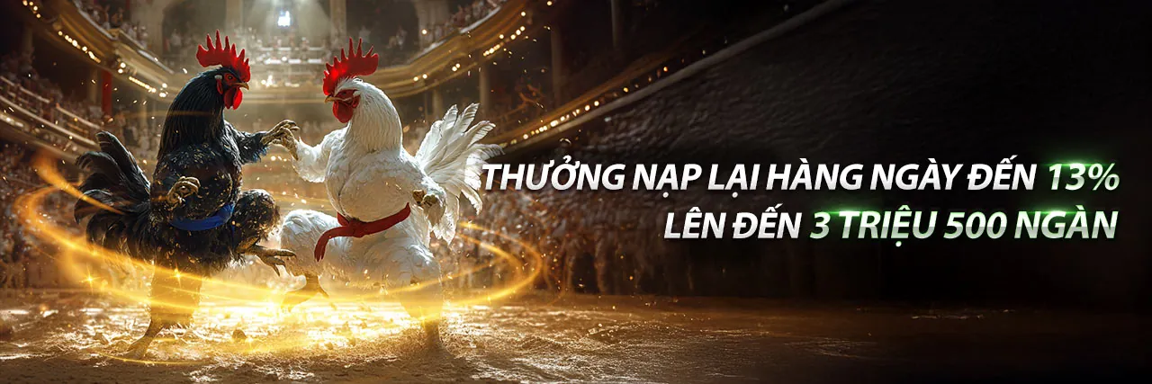 Sảnh Đá Gà 365bet với hình ảnh chú gà chọi khỏe mạnh trong trường gà