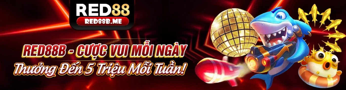 Tổng quan về chính sách cookie trên 365bet